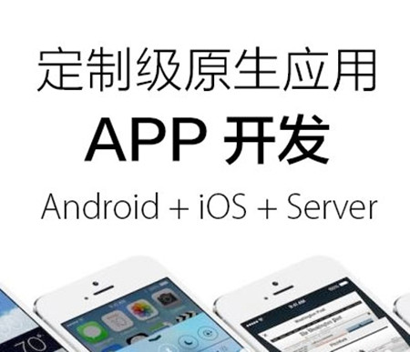 原生應用APP開發(fā)